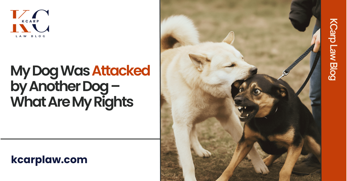 My Dog Was Attacked by Another Dog – What Are My Rights?