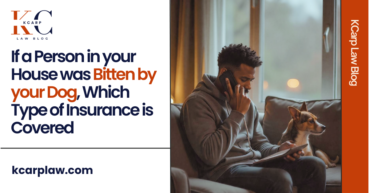 If a Person in your House was Bitten by your Dog, Which Type of Insurance is Covered